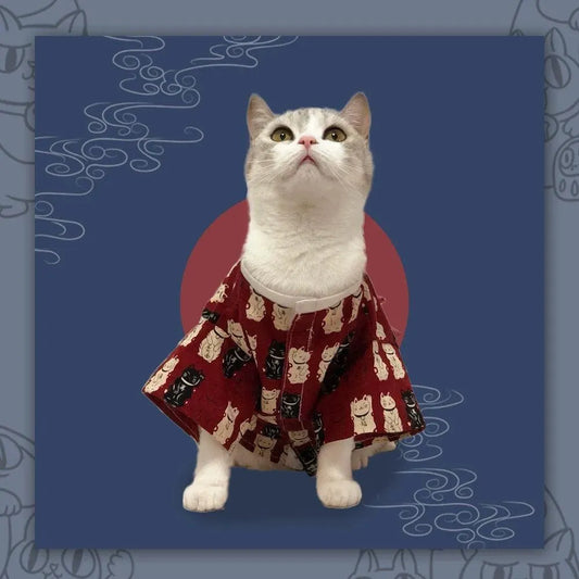 Japanese Pet Samurai Outfit-Fortune Cat - WizzPaw