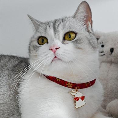 Japanese Style Pet Bell Collar - WizzPaw