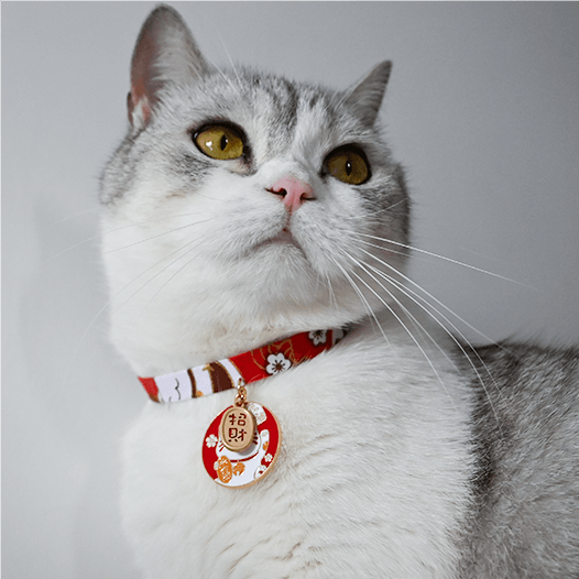 Japanese Style Pet Bell Collar - WizzPaw