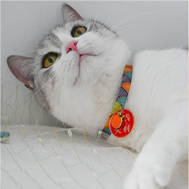 Japanese Style Pet Bell Collar - WizzPaw