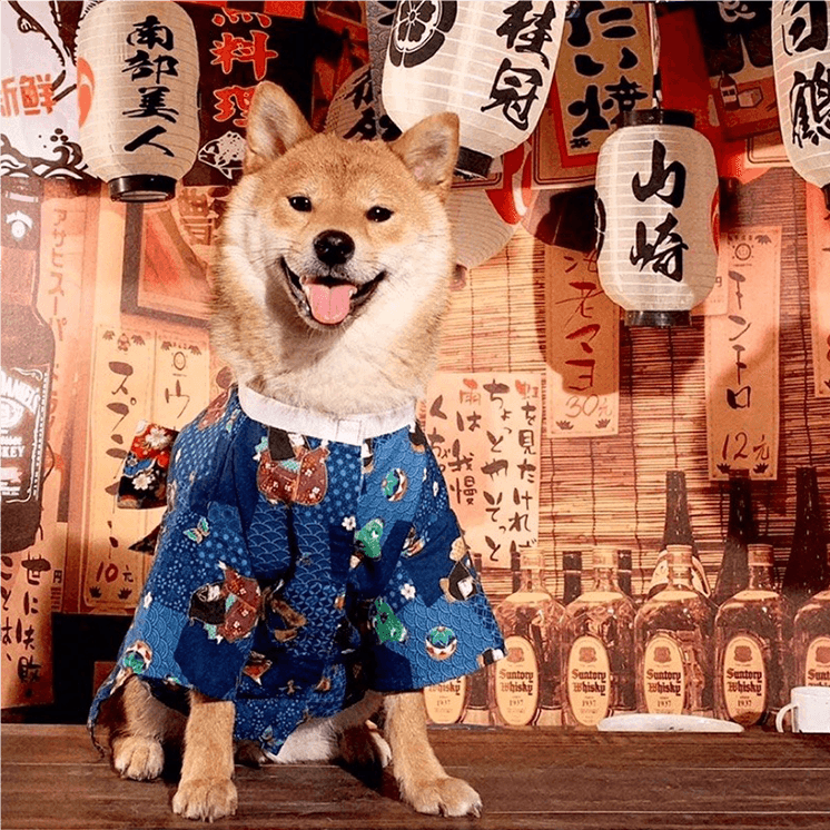 Japanese-Style Pet Kimono - Kimono Doll - WizzPaw