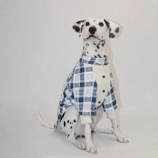 Pet Blue and White Plaid Outfit - WizzPaw