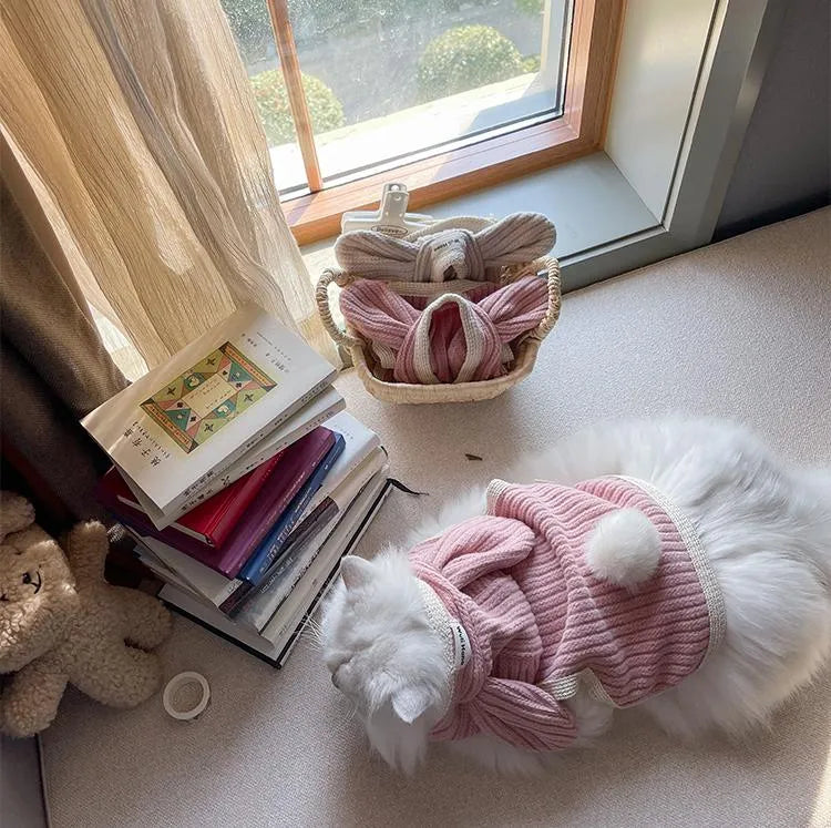 Pet Bunny Ear Cloak - WizzPaw