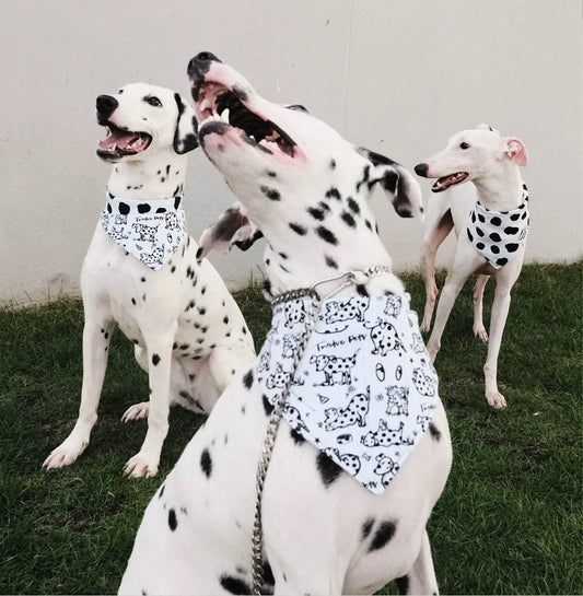 Pet Dalmatian Series Double-Sided Cotton Bandana - WizzPaw