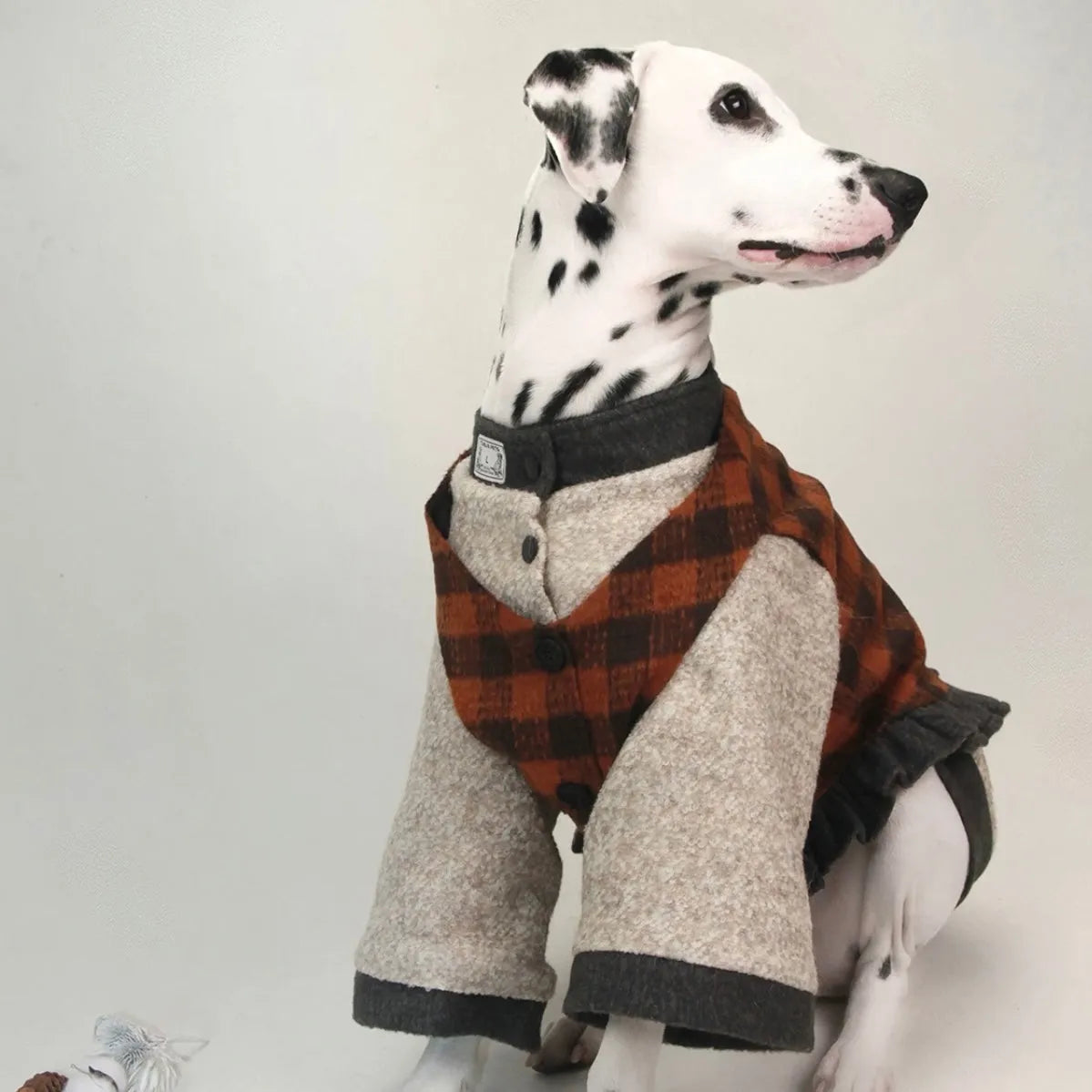 Pet Fleece-Lined Warm Bell Sleeve Coat - WizzPaw