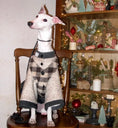 Bild in Galerie-Betrachter laden, Pet Fleece-Lined Warm Bell Sleeve Coat - WizzPaw
