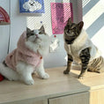 Bild in Galerie-Betrachter laden, Pet Plush Hooded Jacket - WizzPaw
