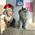 Bild in Galerie-Betrachter laden, Pet Plush Hooded Jacket - WizzPaw
