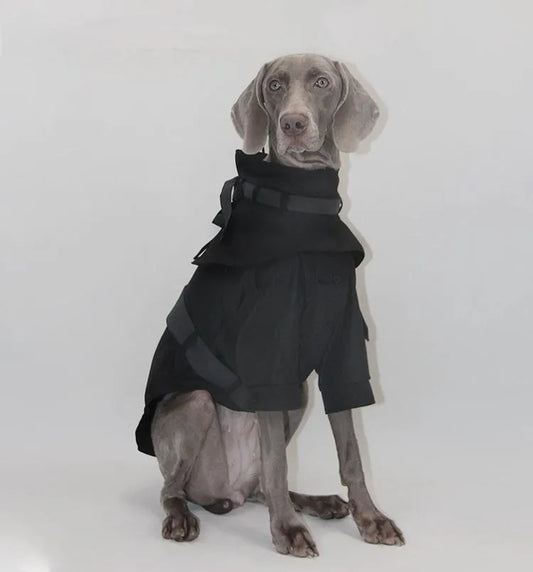 Pet Waterproof Two-Tone Windbreaker - Thick and Thin Versions - WizzPaw