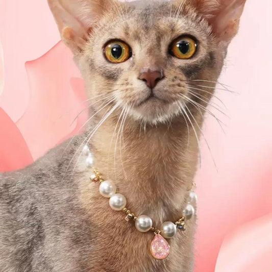 Pink Lady-Pet Pearl Necklace Collar - WizzPaw