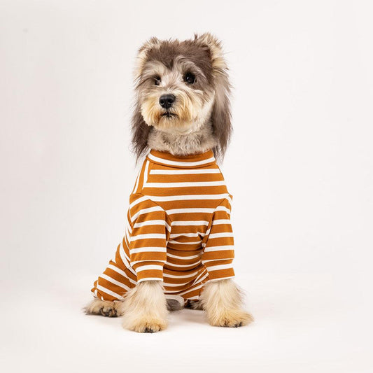 Striped loungewear for dogs - WizzPaw