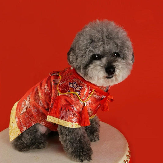 Traditional Chinese-style Pet Hanfu - WizzPaw