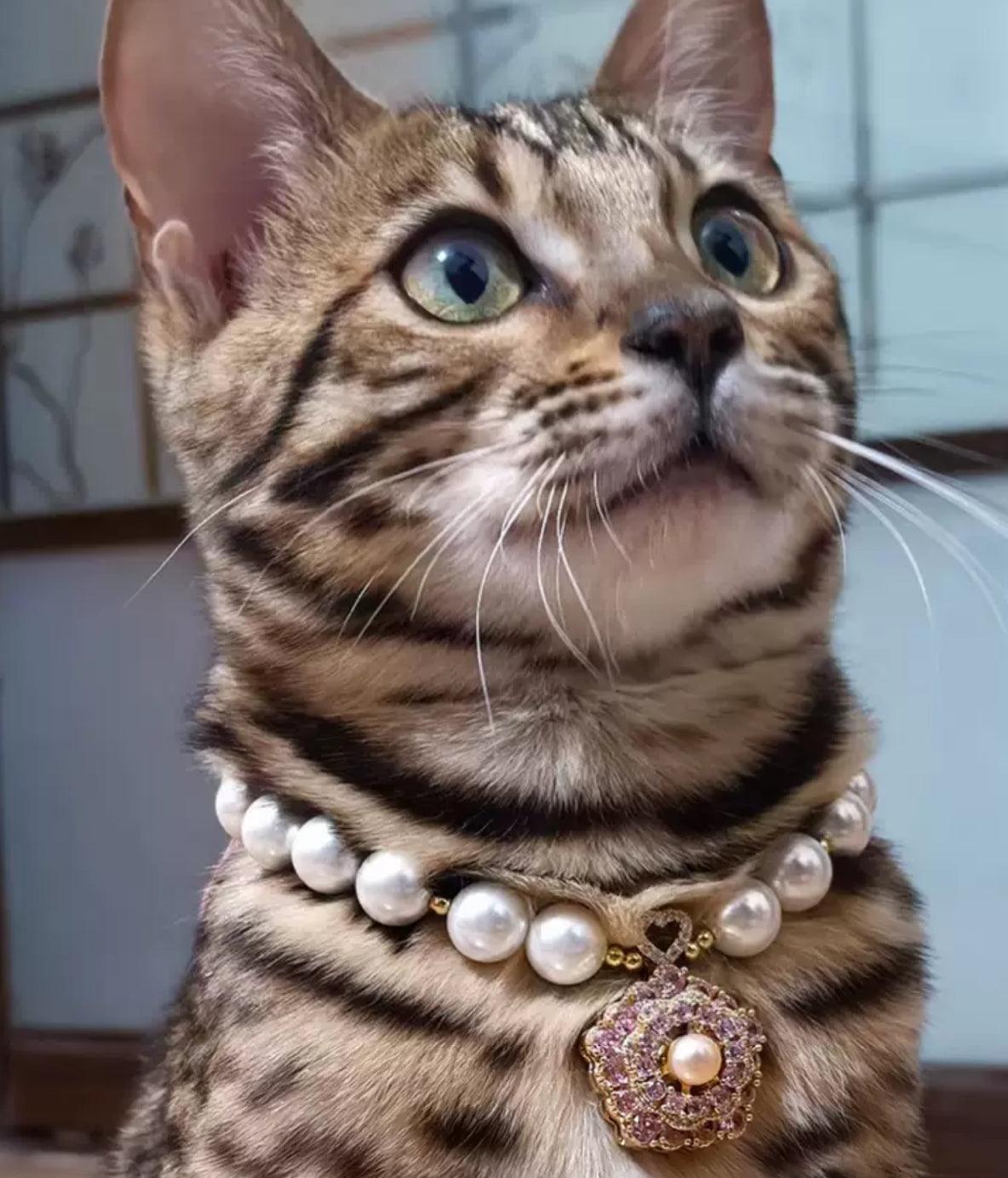 Viennese Waltz-Pet Pearl Necklace Collar - WizzPaw