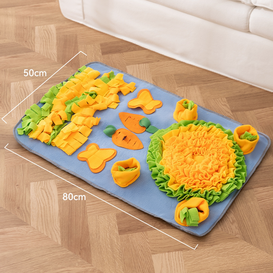 Carrot Garden snuffle mat original supplier image